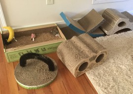 picture of cat scratching posts
