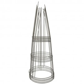 picture of metal tomato cages